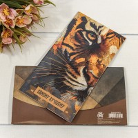 Конверт подарочный 16,5*9см 410 1/10 1/250 Арт: 003004/410