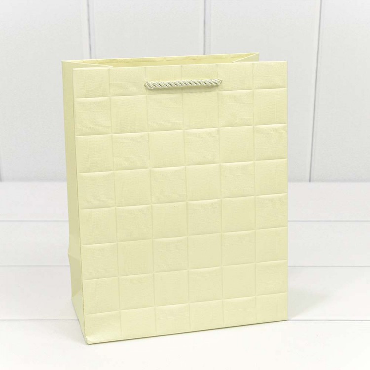 Пакет подарочный "Квадраты" Бежевый 18*23*10 210г 1/20 1/360 Арт: 000195E/2