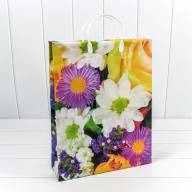 Пакет мягкий пластик Женский (ассортимент) 32*42*10 1/20 1/200 Арт: BAL-1 - Пакет мягкий пластик Женский (ассортимент) 32*42*10 1/20 1/200 Арт: BAL-1